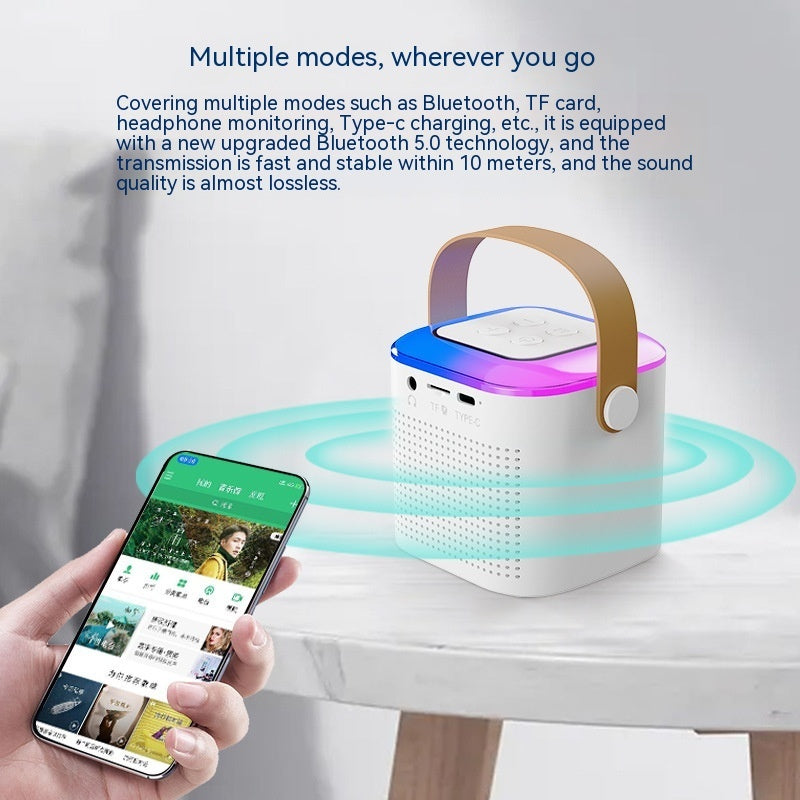 Bluetooth Karaoke Machine with Microphone